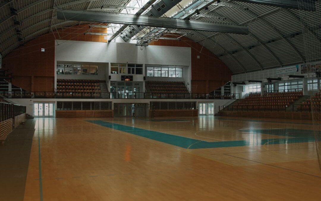 Animación físico-deportiva y recreativa para personas con discapacidad AFDA0411