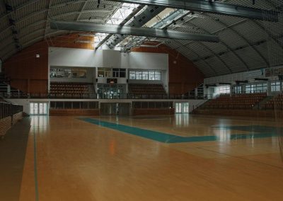 Animación físico-deportiva y recreativa para personas con discapacidad AFDA0411